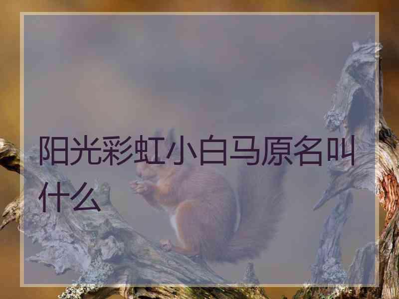 阳光彩虹小白马原名叫什么 阳光彩虹小白马原名叫什么
