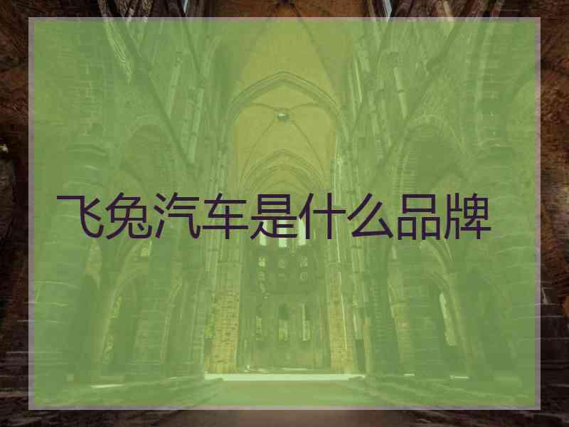 飞兔汽车是什么品牌 飞兔汽车是什么品牌