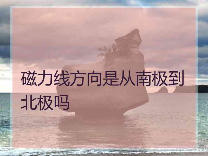 磁力线方向是从南极到北极吗 磁力线方向是从南极到北极吗