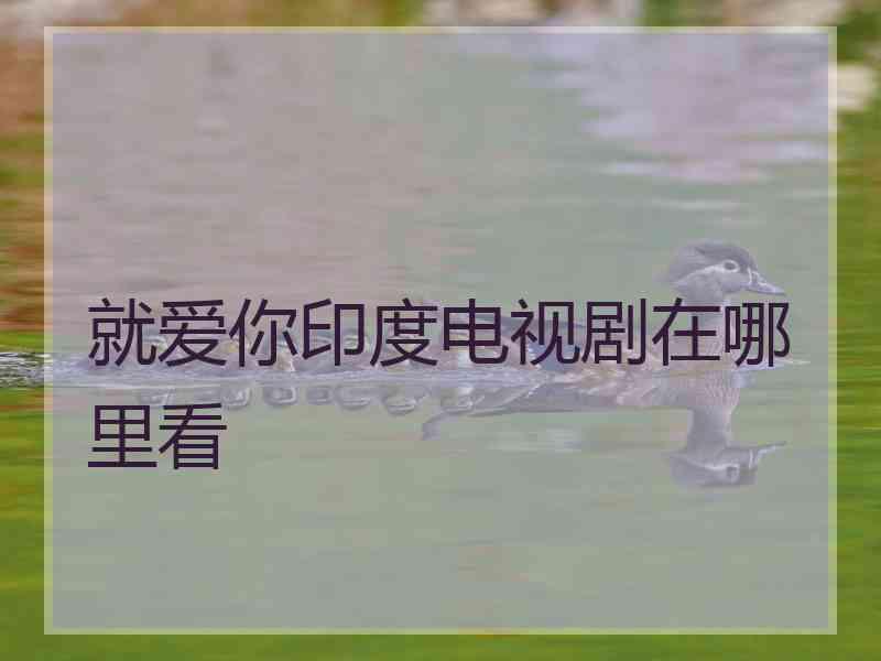 就爱你印度电视剧在哪里看 就爱你印度电视剧在哪里看