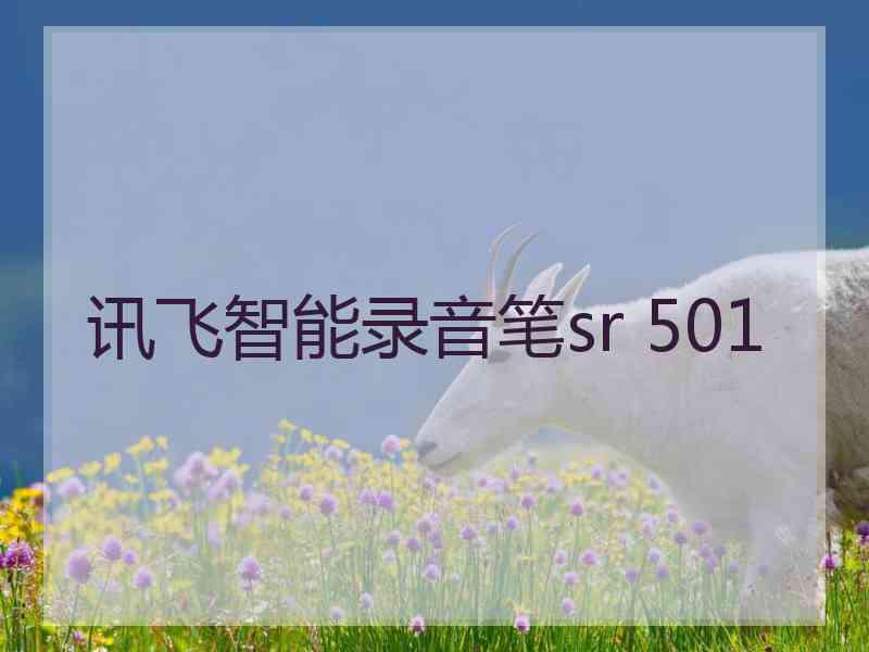 讯飞智能录音笔sr 501 讯飞智能录音笔sr 501