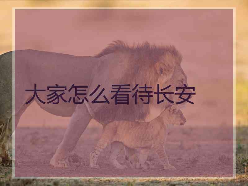 大家怎么看待长安 大家怎么看待长安