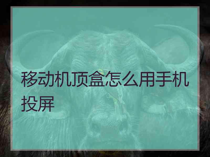 移动机顶盒怎么用手机投屏 移动机顶盒怎么用手机投屏