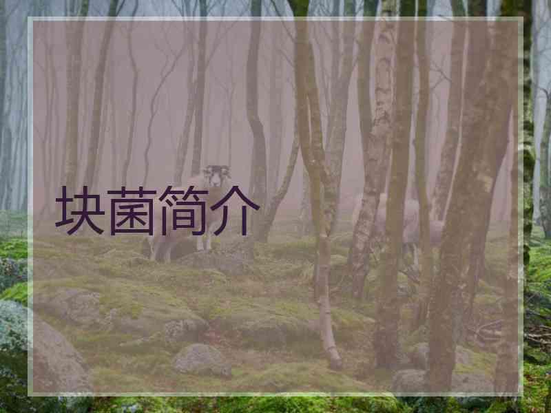 块菌简介 块菌简介