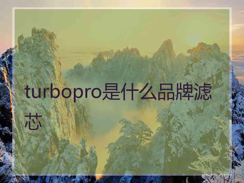turbopro是什么品牌滤芯 turbopro是什么品牌滤芯