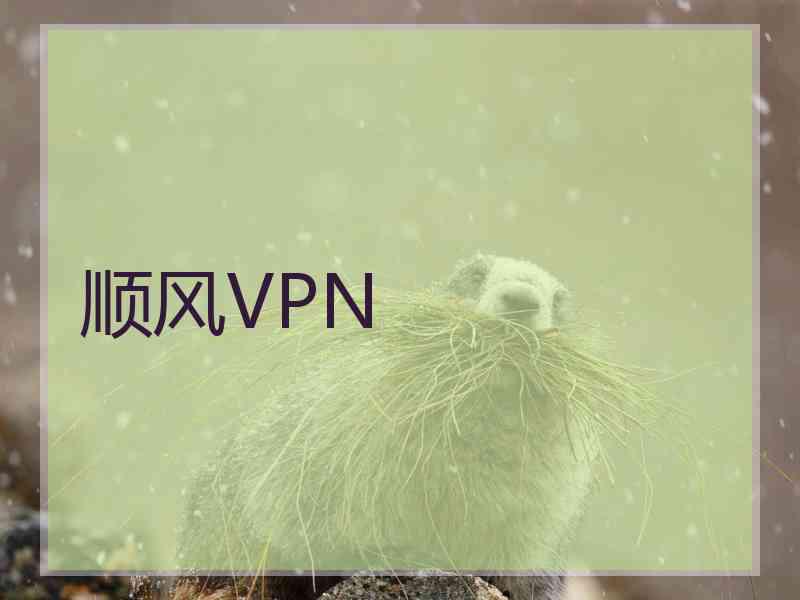 顺风VPN