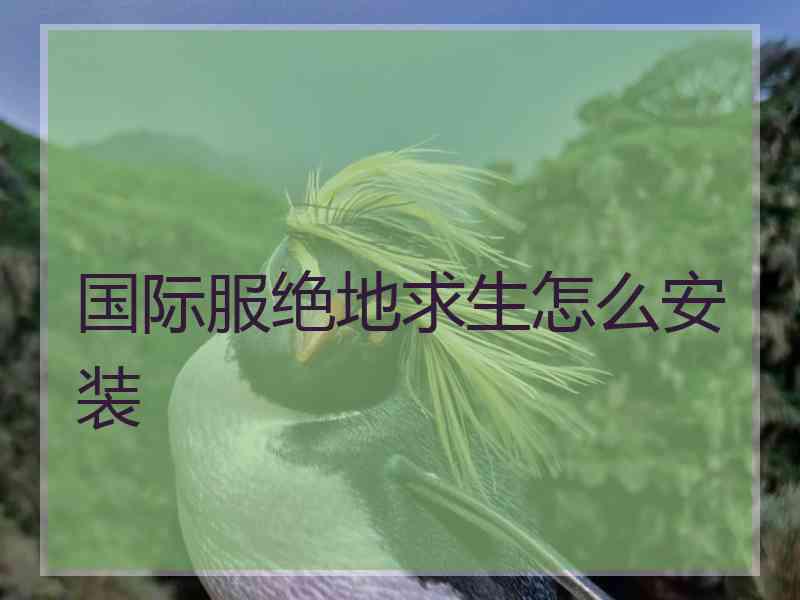 国际服绝地求生怎么安装 国际服绝地求生怎么安装