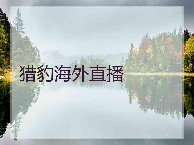猎豹海外直播 猎豹海外直播