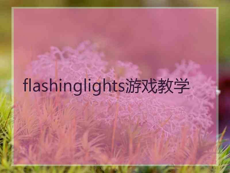 flashinglights游戏教学