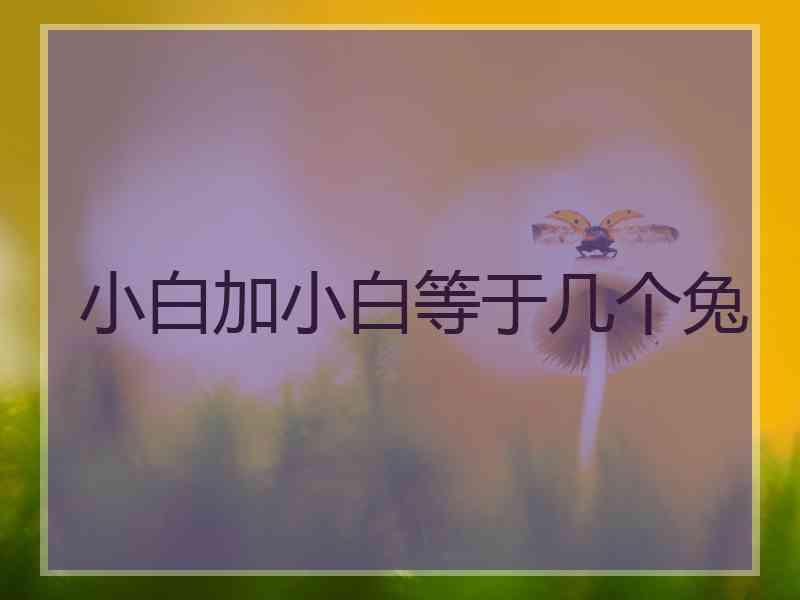 小白加小白等于几个兔 小白加小白等于几个兔