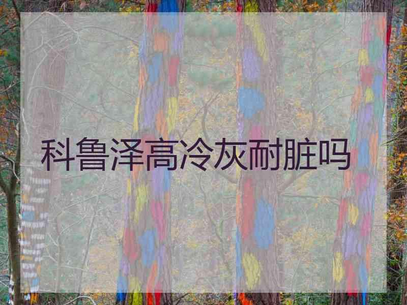 科鲁泽高冷灰耐脏吗 科鲁泽高冷灰耐脏吗