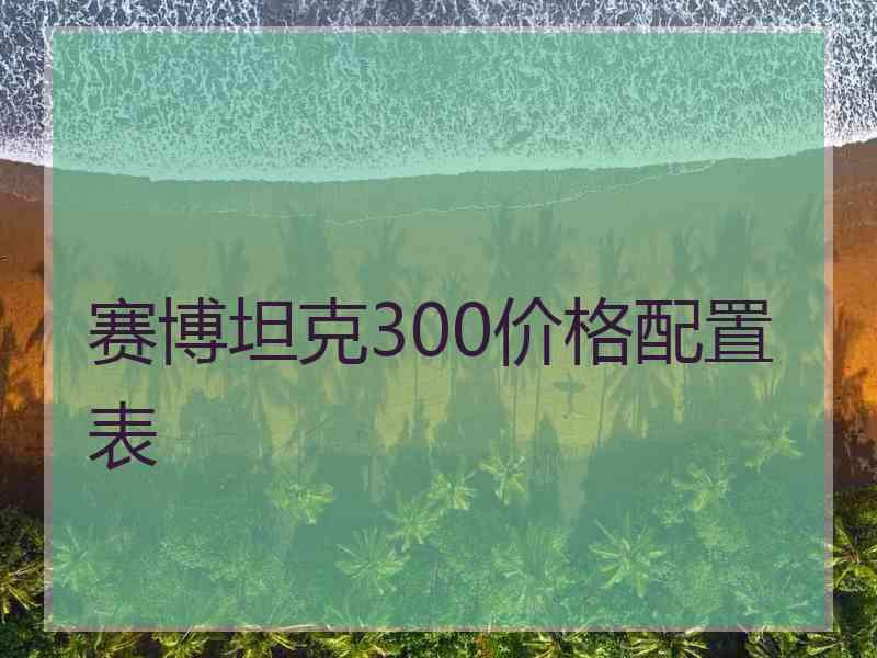 赛博坦克300价格配置表 赛博坦克300价格配置表