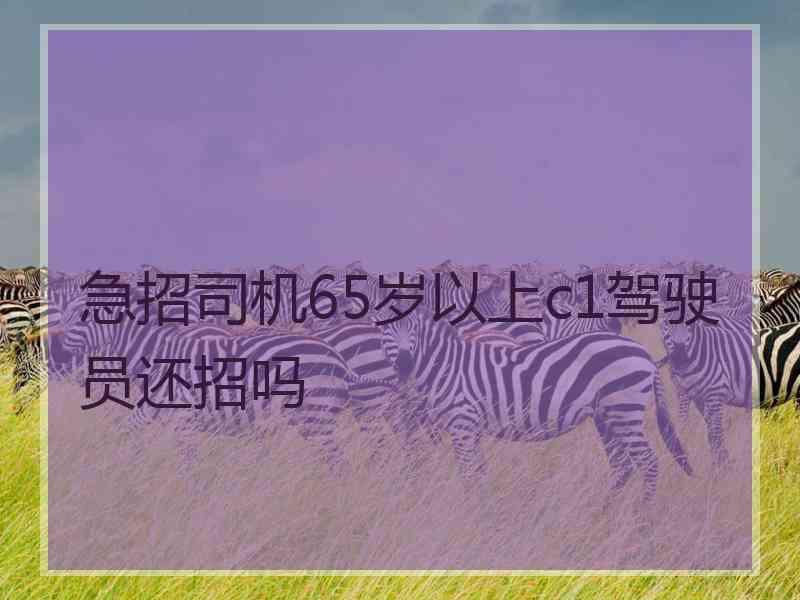 急招司机65岁以上c1驾驶员还招吗 急招司机65岁以上c1驾驶员还招吗