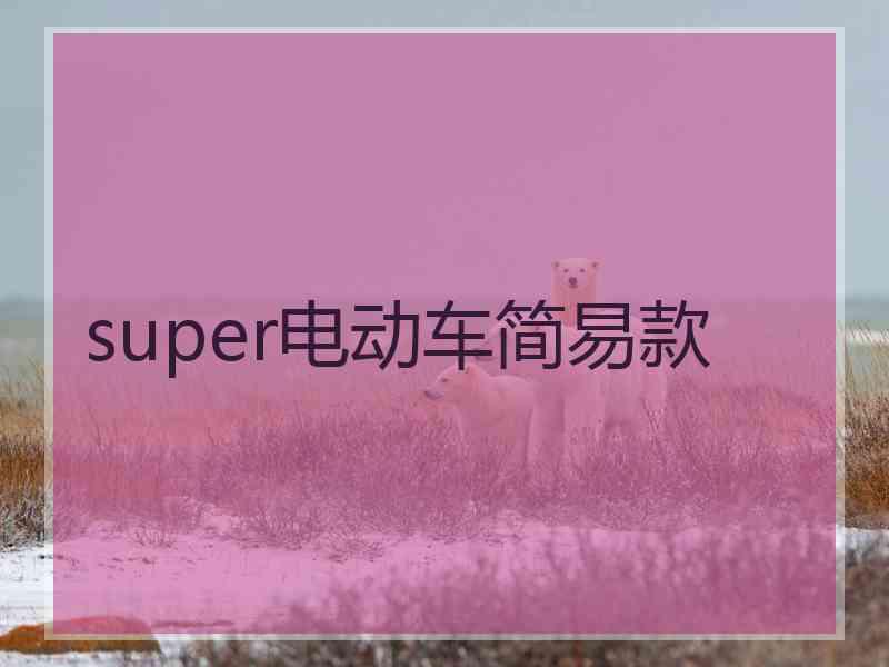 super电动车简易款 super电动车简易款