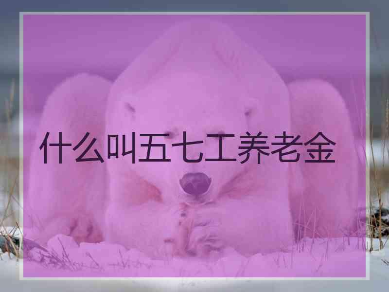 什么叫五七工养老金 什么叫五七工养老金