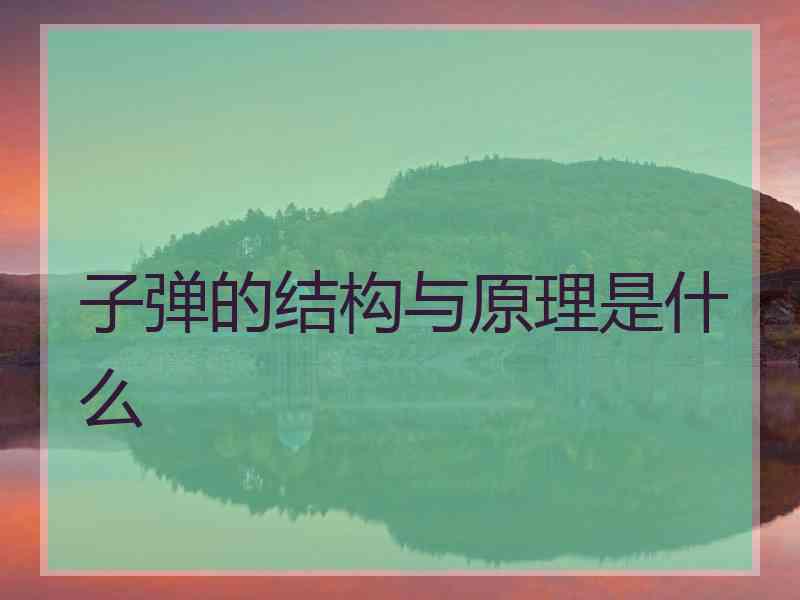子弹的结构与原理是什么 子弹的结构与原理是什么