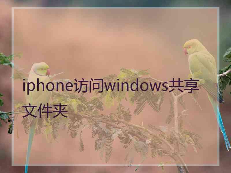 iphone访问windows共享文件夹