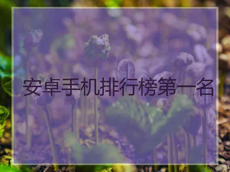 安卓手机排行榜第一名 安卓手机排行榜第一名