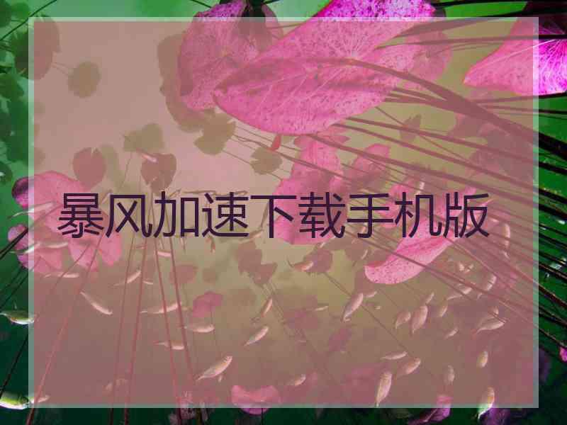 暴风加速下载手机版 暴风加速下载手机版