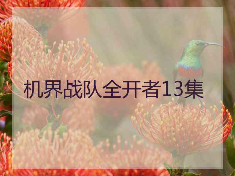 机界战队全开者13集 机界战队全开者13集