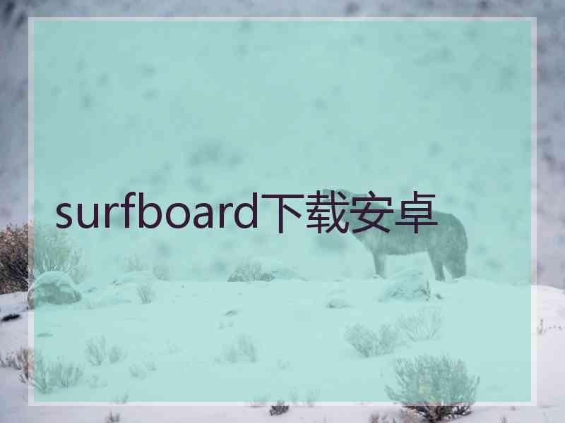 surfboard下载安卓