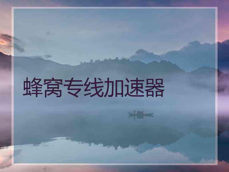 蜂窝专线加速器 蜂窝专线加速器