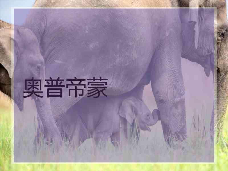 奥普帝蒙 奥普帝蒙