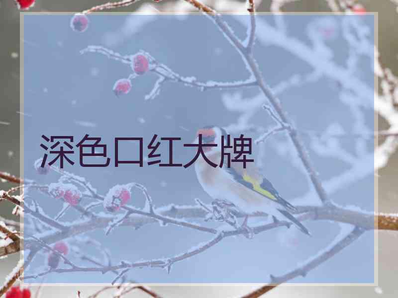 深色口红大牌 深色口红大牌