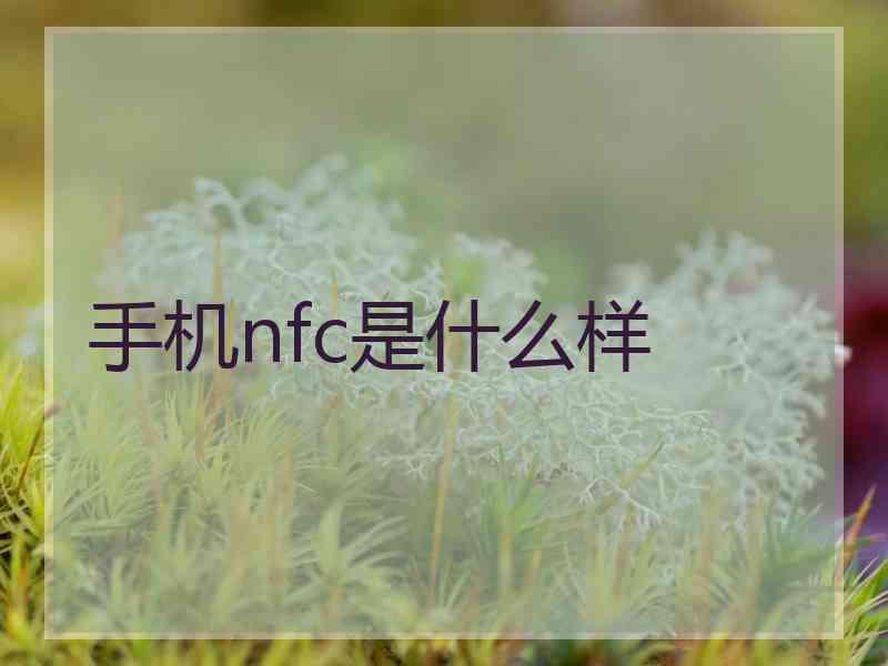 手机nfc是什么样 手机nfc是什么样