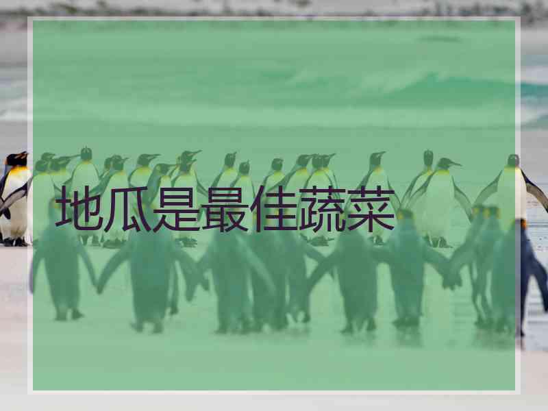 地瓜是最佳蔬菜 地瓜是最佳蔬菜