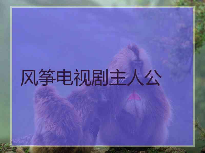 风筝电视剧主人公 风筝电视剧主人公