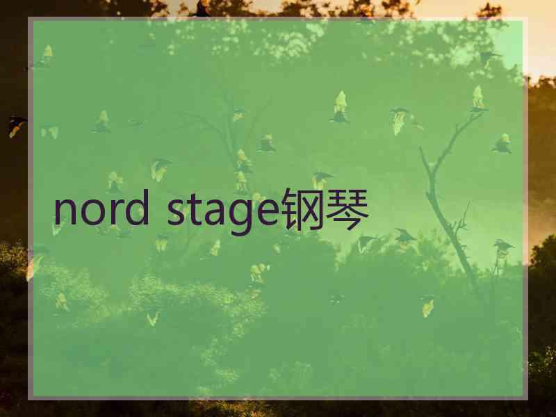 nord stage钢琴