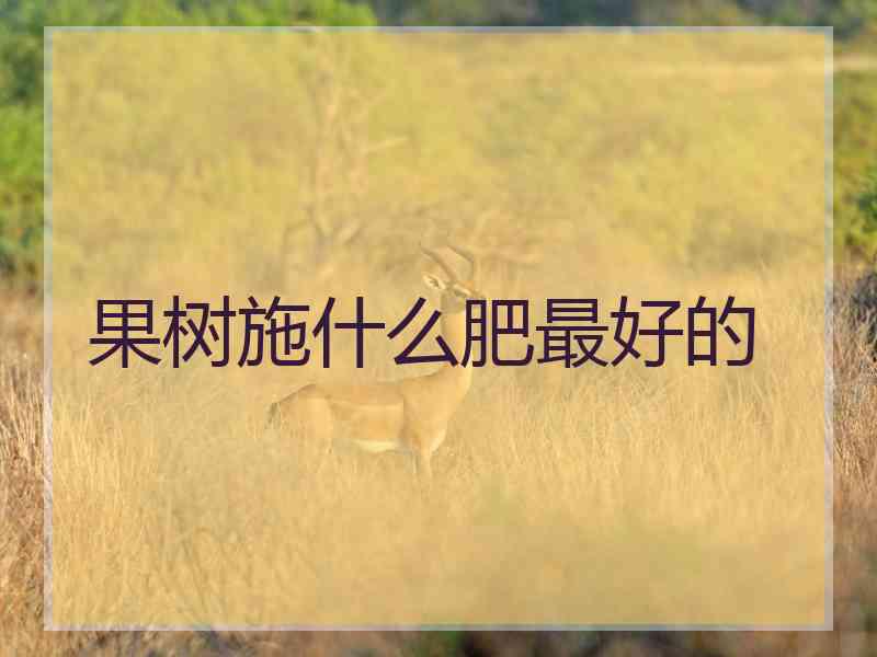 果树施什么肥最好的 果树施什么肥最好的