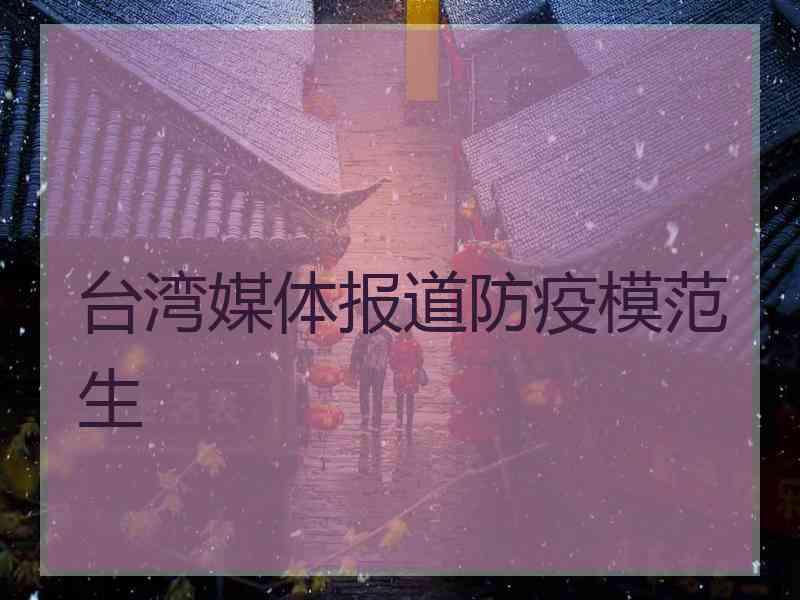 台湾媒体报道防疫模范生