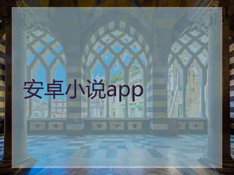 安卓小说app
