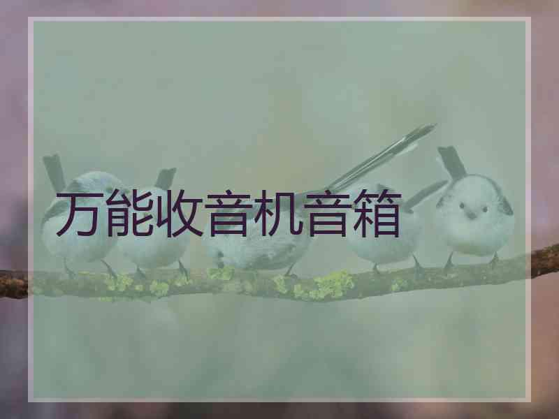 万能收音机音箱 万能收音机音箱