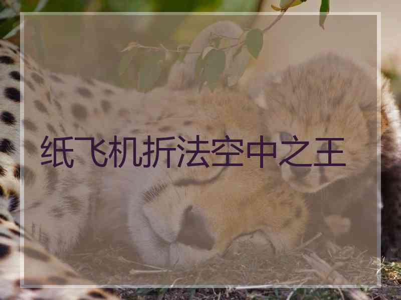 纸飞机折法空中之王 纸飞机折法空中之王