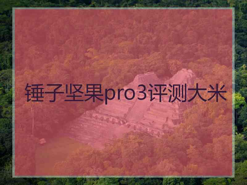 锤子坚果pro3评测大米 锤子坚果pro3评测大米