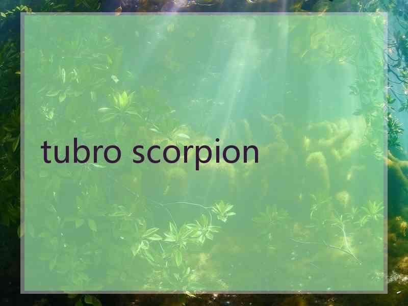 tubro scorpion