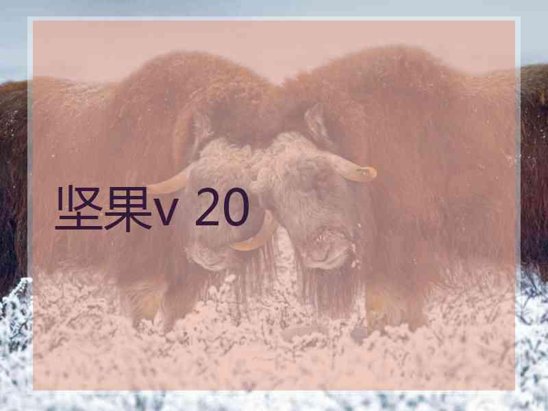 坚果v 20 坚果v 20