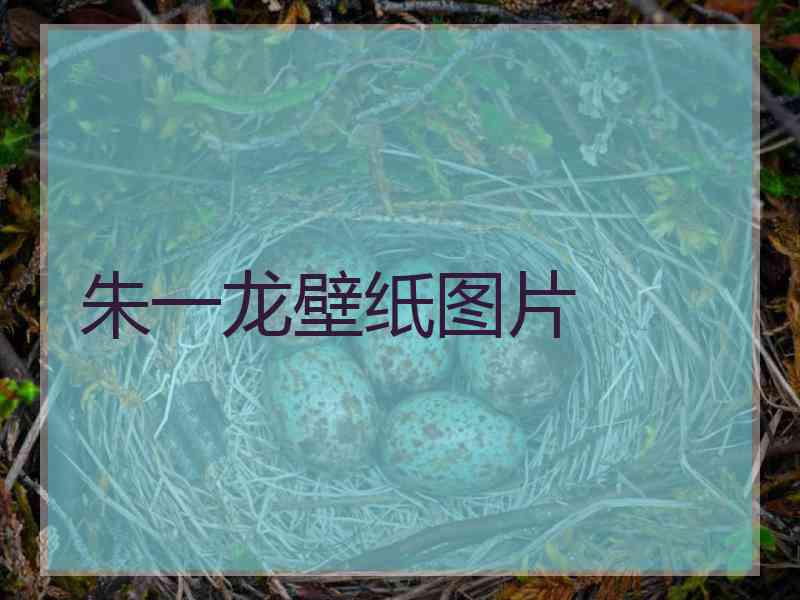 朱一龙壁纸图片 朱一龙壁纸图片