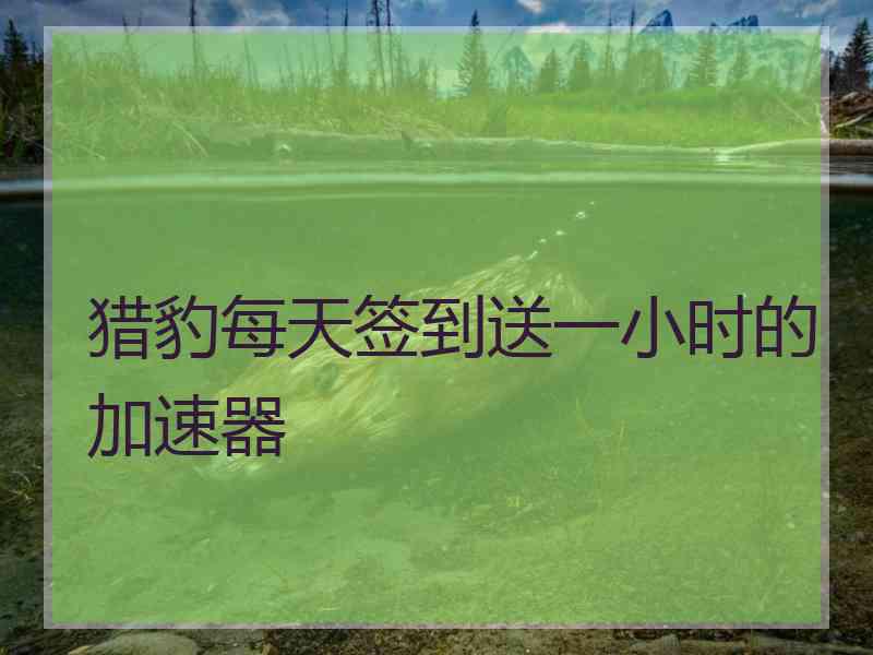猎豹每天签到送一小时的加速器 猎豹每天签到送一小时的加速器