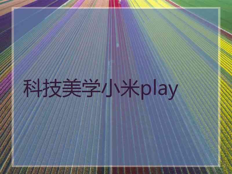 科技美学小米play 科技美学小米play