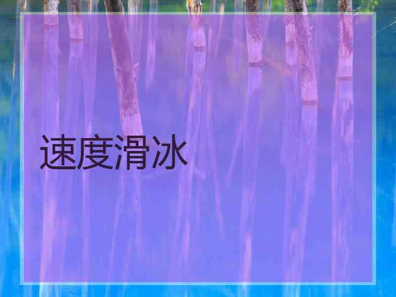 速度滑冰 速度滑冰