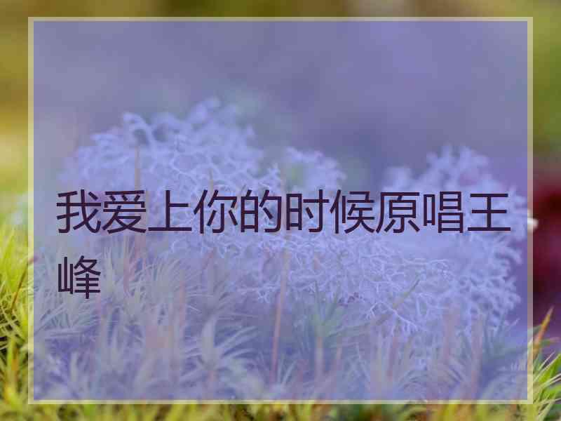 我爱上你的时候原唱王峰 我爱上你的时候原唱王峰