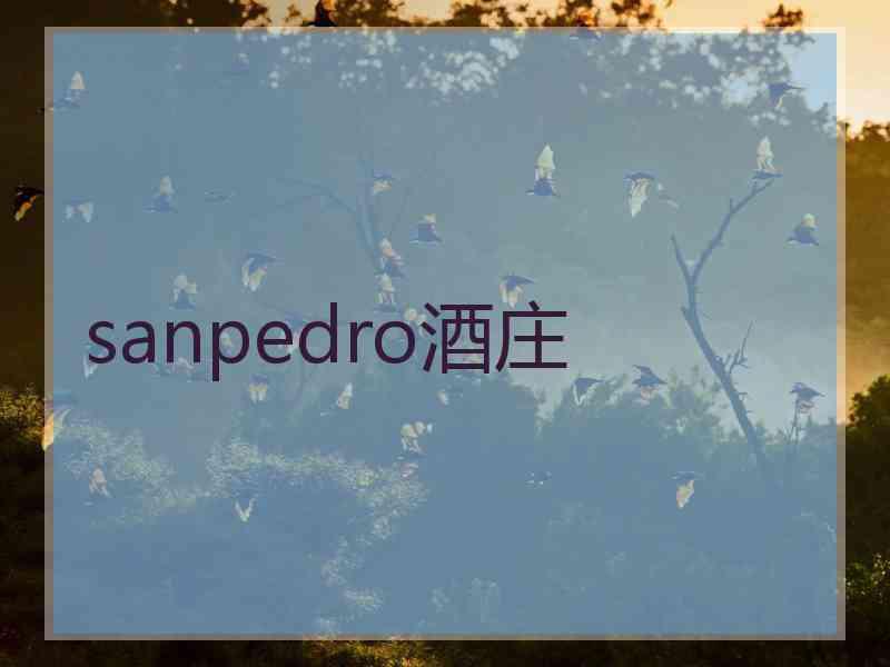 sanpedro酒庄 sanpedro酒庄