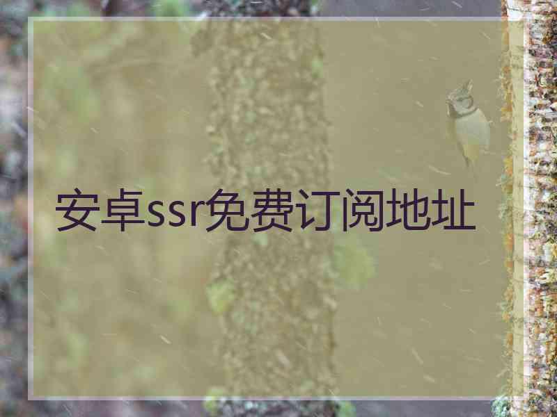 安卓ssr免费订阅地址 安卓ssr免费订阅地址