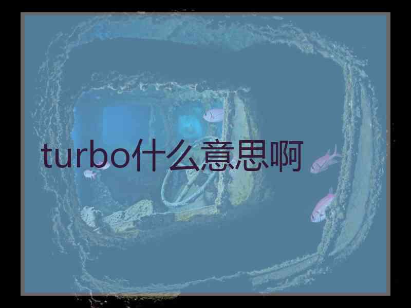 turbo什么意思啊 turbo什么意思啊