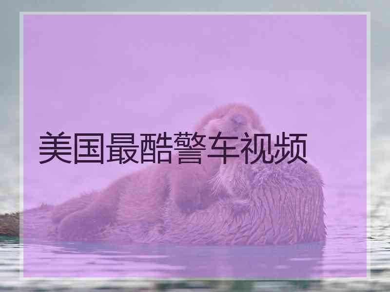 美国最酷警车视频 美国最酷警车视频