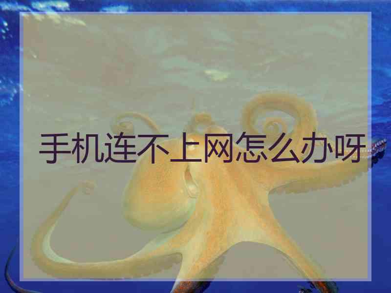 手机连不上网怎么办呀 手机连不上网怎么办呀